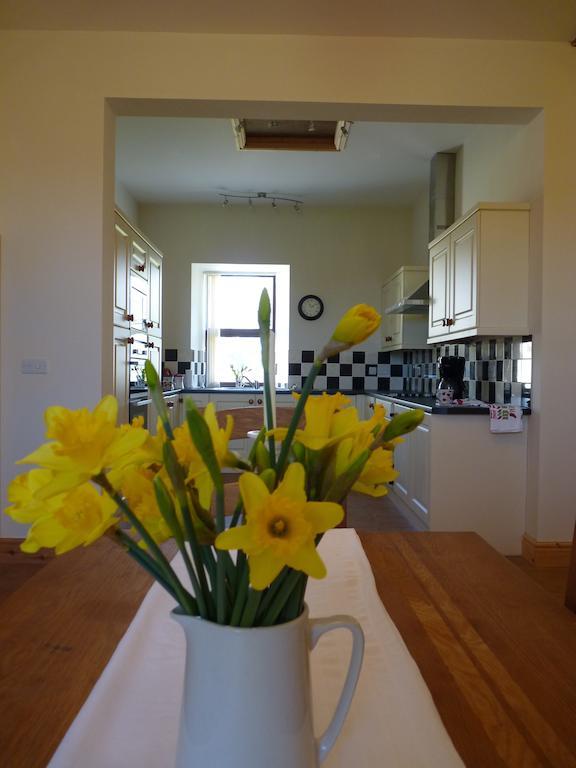 Old Police House Bed and Breakfast Haverfordwest Buitenkant foto